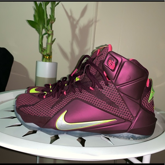 lebron 12 double helix